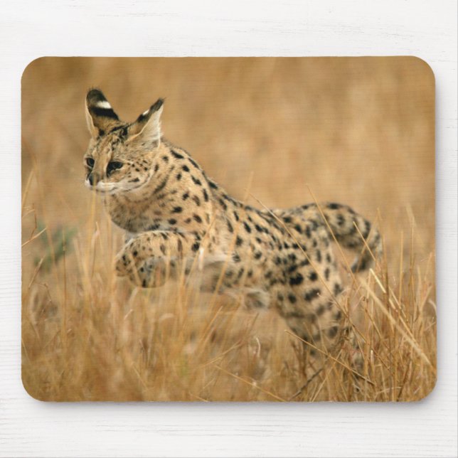 Serval (Leptailurus Serval) Jumping Mouse Pad (Front)
