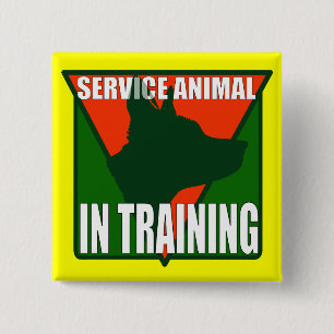 SERVICE ANIMAL TRAINING 15 CM SQUARE BADGE