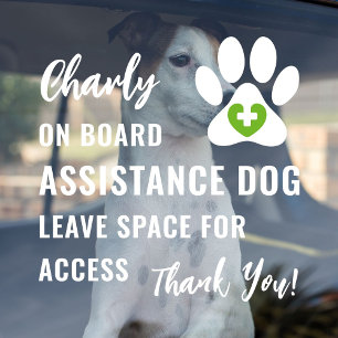 Service Dog on Board Light Green Medical Logo Car