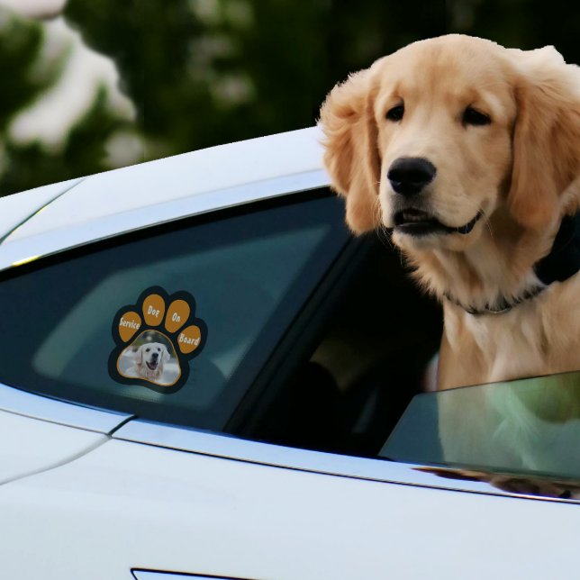 Service Dog On Board Paw Print Photo Orange Black  (Creator Uploaded)