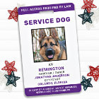 Service Dog Personalised Purple Photo ID Badge