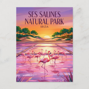 Ses Salines Natural Park Spain Postcard