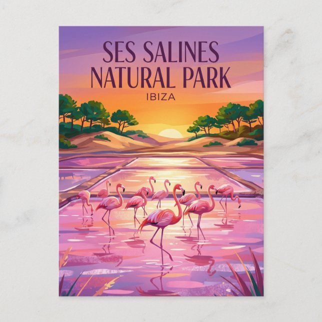 Ses Salines Natural Park Spain Postcard (Front)