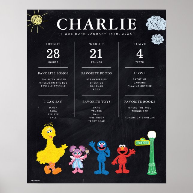 Sesame Street | 1st Birthday Milestone Poster (Front)