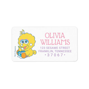 Sesame Street   Baby Birthday - Big Bird Label