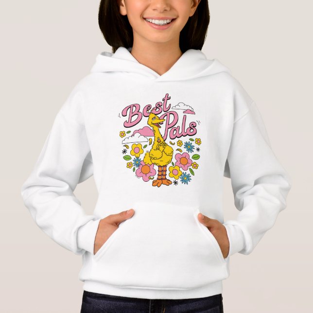 Sesame Street | Best Yellow Bird Pals (Front)