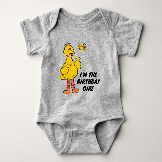 Sesame Street | Big Bird & Little Bird Birthday Baby Bodysuit (Front)