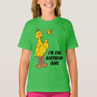 Sesame Street | Big Bird & Little Bird Birthday
