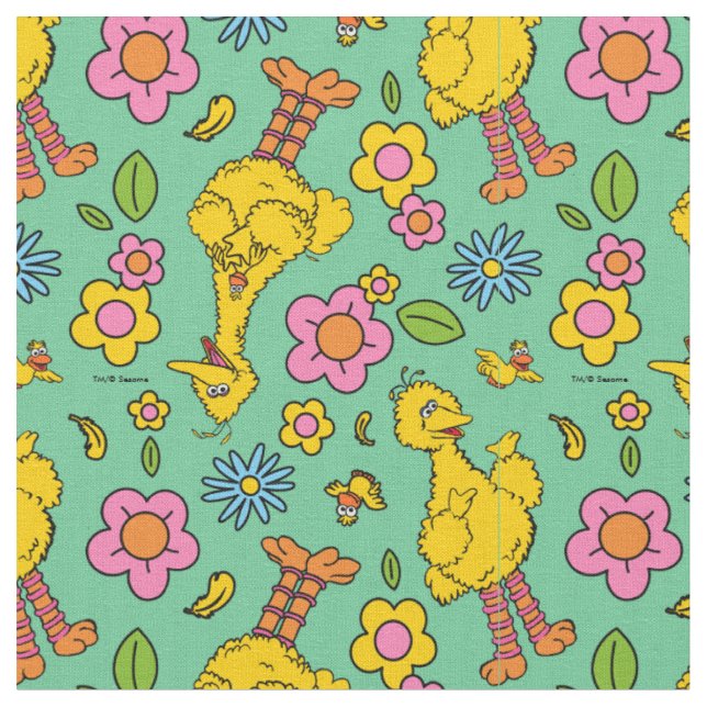 Sesame Street | Big Bird & Little Bird Pattern Fabric (Close Up)
