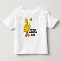 Sesame Street | Big Bird & Little Bird