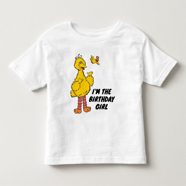 Sesame Street | Big Bird & Little Bird Toddler T-Shirt (Front)