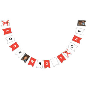 Sesame Street Elmo Crayon Birthday Bunting