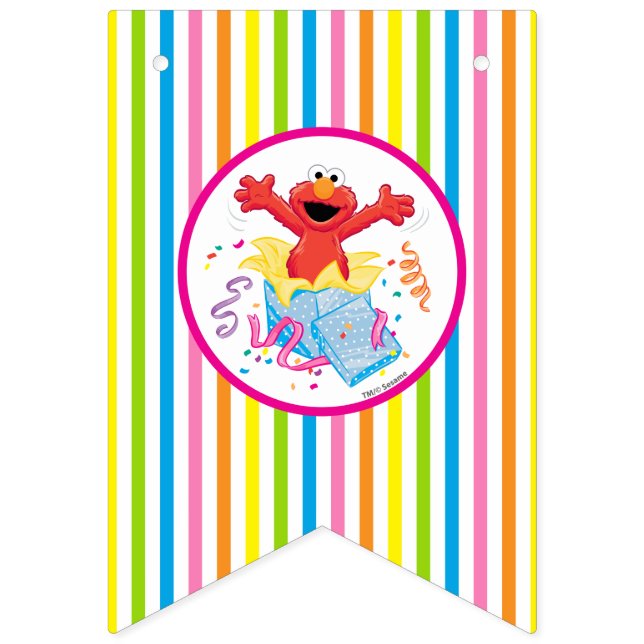 Sesame Street | Elmo Girl's Birthday Bunting (First Flag)