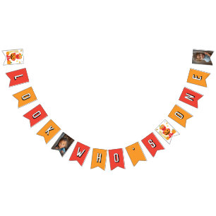 Sesame Street - Elmo Pumpkin First Birthday Bunting