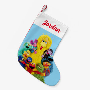 Sesame Street   Fun Colorful Pals Portrait Small Christmas Stocking