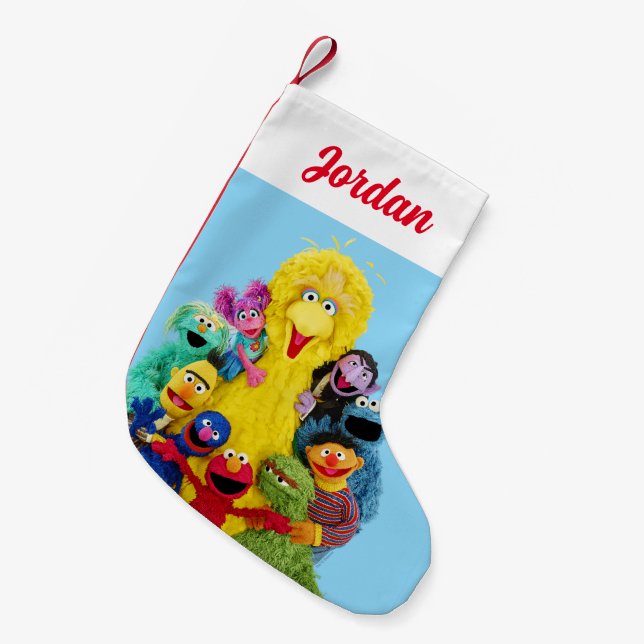 Sesame Street | Fun Colourful Pals Portrait Small Christmas Stocking (Front (Hanging))