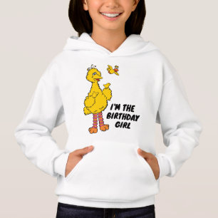 Sesame Street   I'm the Birthday Girl