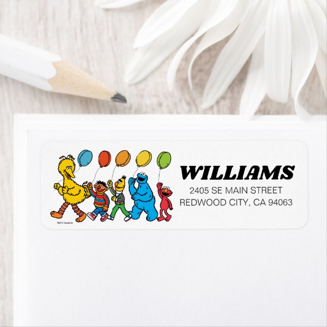 Sesame Street Pals Balloons Birthday  (Insitu)