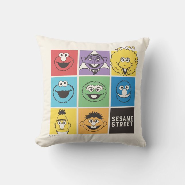 Sesame Street Pals | Colour Blocks Cushion (Front)