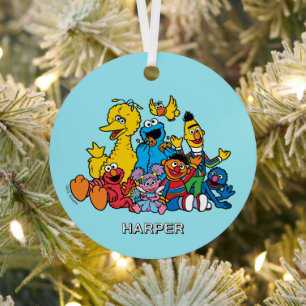 Sesame Street Pals   Customised Name & Photo Metal Tree Decoration
