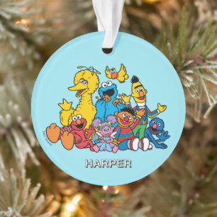 Sesame Street Pals   Customised Name & Photo Ornament