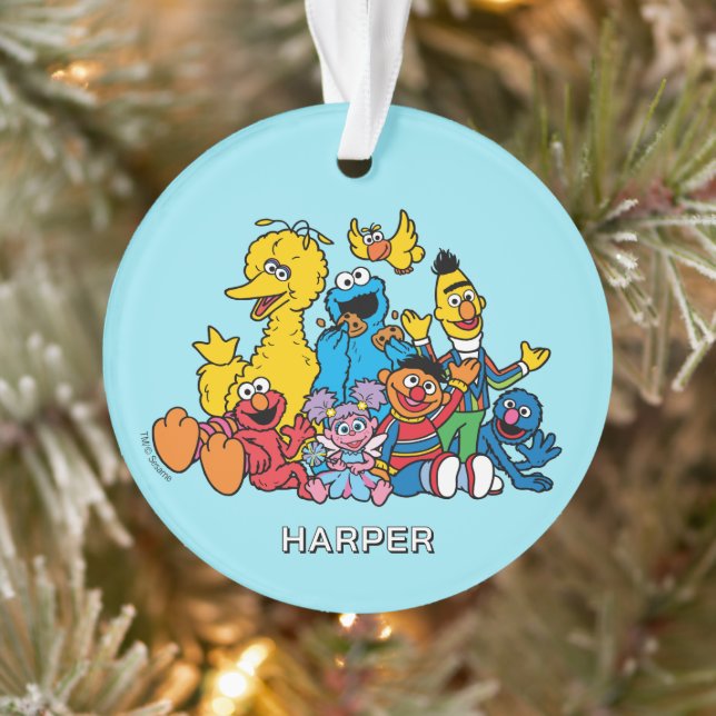 Sesame Street Pals | Customised Name & Photo Ornament (Tree)