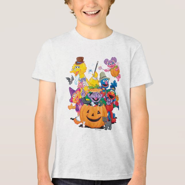 Sesame Street Pals | Happy Halloween Tri-Blend Shirt (Front)