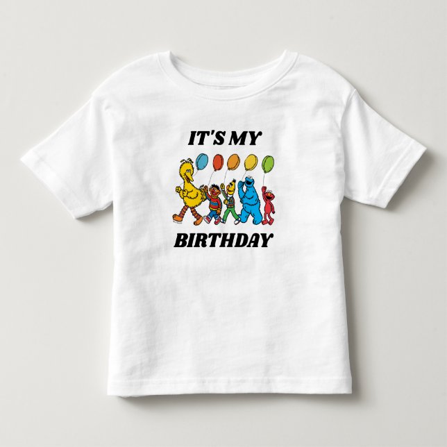 Sesame Street Pals | It's My Birthday Toddler T-Shirt (Front)