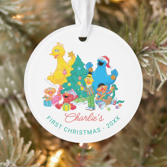 Sesame Street Pals  | My First Christmas Photo Ornament (Tree)