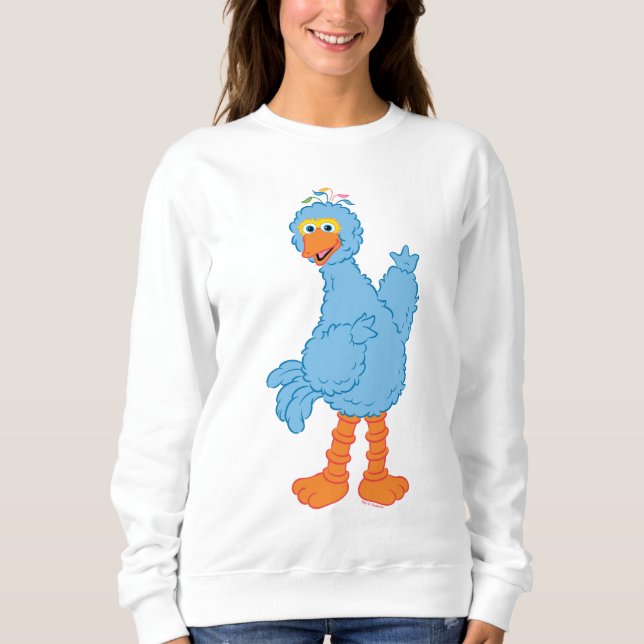 Sesame Street Pino Sweatshirt (Front)