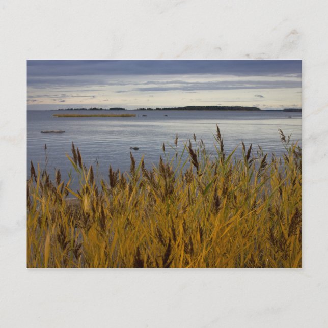 Sescape from Ostrobothnia CC0076 Postcard (Front)