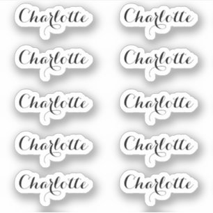 Set of 10   Small Elegant Script Name