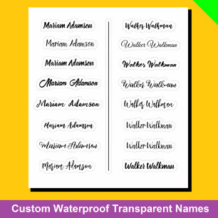 (Set of 16) Transparent Simple Name Stickers