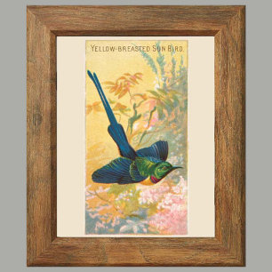Set of 6 Gallery Wall, 4 of 6 Audubon Poster
