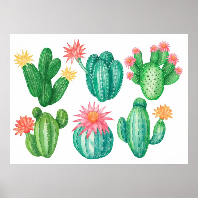 Set of cacti with flowers. Isolated elements on a  Poster (Front)