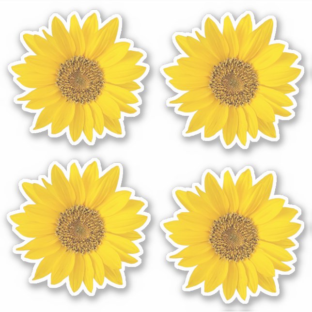 Set of Four Yellow Sunflowers Contour (Front)