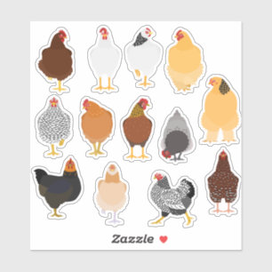 set of various chickens sticker