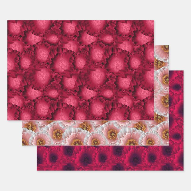 Set, poppies, floral pattern, flowers, pink, red wrapping paper sheet (Set)
