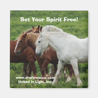 Set Your Spirit Free! Magnet