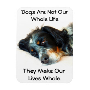 Setter Love Photo Magnet