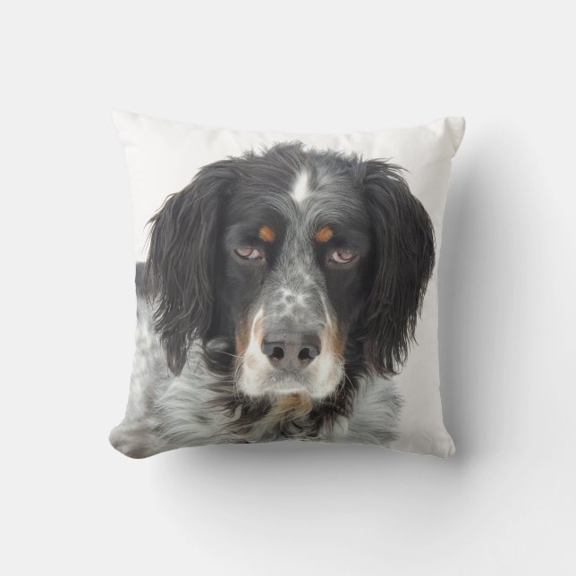 Setter Love Pillow (Front)