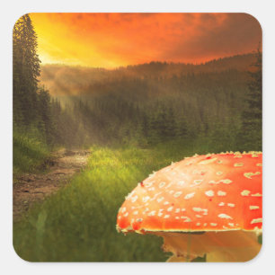 Setting Autumn Sun. Square Sticker