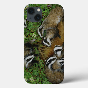 Setting Out iPhone 13 Case