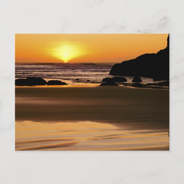 Setting Sun - Bandon, Oregon Postcard (Front)
