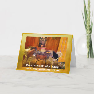 Setting the cake "on fire"!! -- Cat Birthday Card