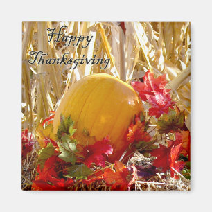 Settled in Red Magnet