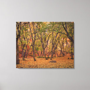 Settlement Canyon Canvas Print