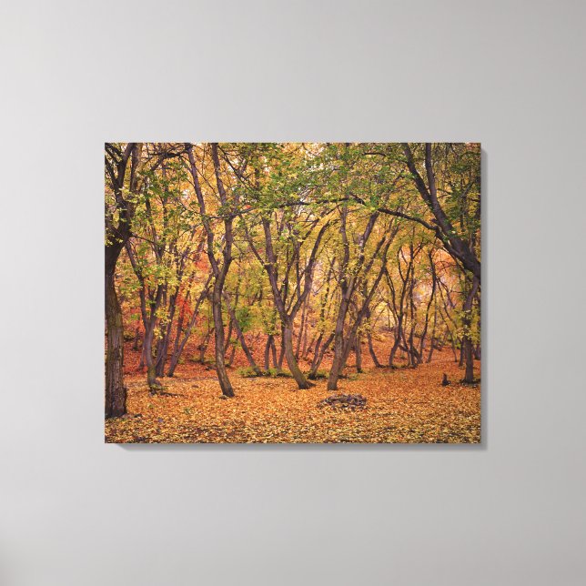 Settlement Canyon Canvas Print (Front)