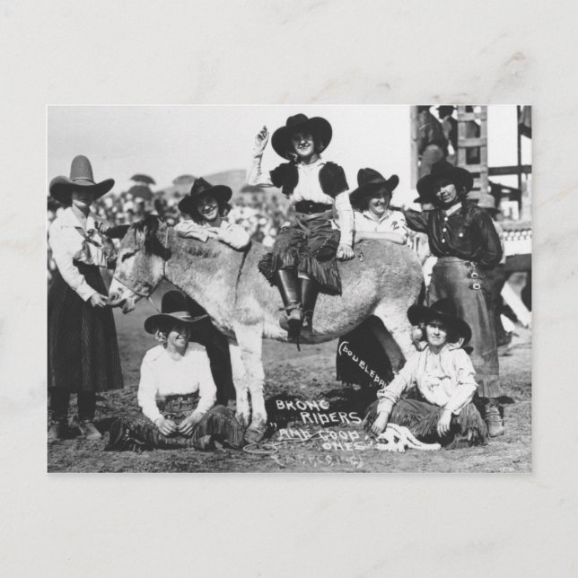 Seven rodeo cowgirls jokingly posing with a donkey postcard (Front)
