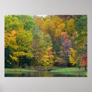 Seven Springs Fall Bridge II Autumn Landscape Poster